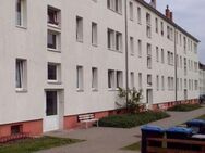 1 Raumwohnung zwischen Eilenburg und Bad Düben - Zschepplin