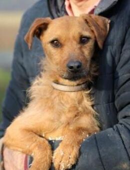 Turia - aufgeweckt u. unkompliziert - Lohra