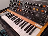 Behringer Poly D Synthesizer w/ 4x OSC, Effekte, Stepsequencer, Arpeggiator, 36-Tasten - Braunschweig