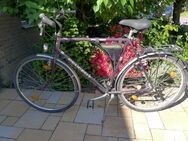 PEUGEOT Fahrrad 24 Gänge 27 Zoll - Herzogenrath