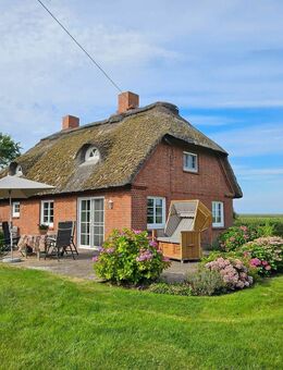 Weitblick bis zum Deich - Zuhause in Westerhever - Westerhever