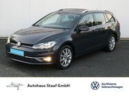 VW Golf Variant, 1.5 TSI Highline 150PS, Jahr 2020 - Nidderau