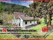 Einfamilienhaus mit großzügigem Grundstück - Hornberg