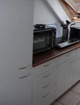 das neue Zuhause in der Wüste - Osnabrück