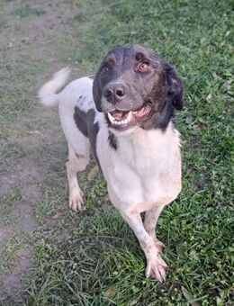 Oana auf der Suche nach ihrer Familie - Laufen