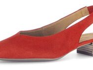 Gabor Slingpumps, Blockabsatz, Abendschuh, Sommerschuh mit elastischem Riemchen