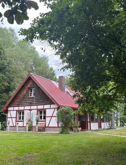 Haus mit Seeblick-Seegrundstück in Alleinlage auf Halbinsel in Höchstädt- Gegen Gebot - Höchstädt (Donau) Zentrum