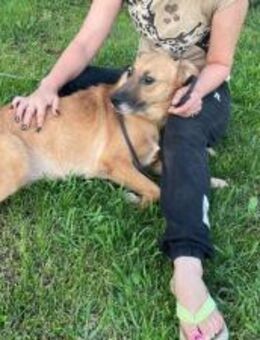 Neues Leben mit der lieben Tara - Jade