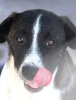 Justus ist so bezaubernd und lieb! - Karben