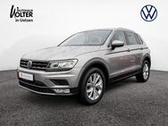 VW Tiguan, 2.0 TDI Highline, Jahr 2016 - Uelzen