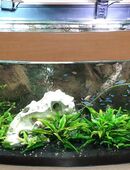 240 Liter Panorama Aquarium mit Besatz und Eheim Pumpe in 66538