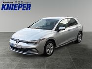 VW Golf, 1.5 Life eTSI Automatik, Jahr 2020 - Zetel