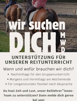 Reitlehrer/innen gesucht - Mülheim (Ruhr)