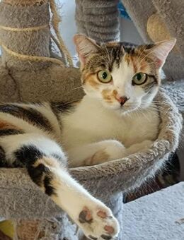 Managua; besonderes Schicksal - Geilenkirchen