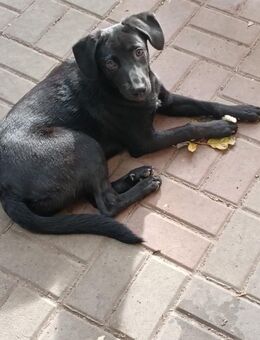 Elfie möchte dich verzaubern - Celle