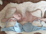 95B, Doppelpack neue Push Up BHs! - Lucka
