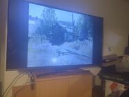 Samsung Farbfernseher Bildgröße 124 cm - Aichach