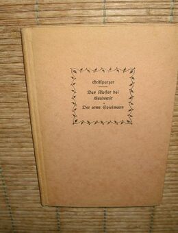 Das Kloster bei Sendomir, Der arme Spielmann. Zwei Novellen. (Gebundene Ausgabe, ohne Jahresangabe) von Franz Grillparzer (Autor) - Rosenheim