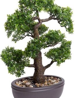 Kunstbonsai Ficus Bonsai Ficus, Botanic-Haus, Höhe 45 cm