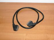 SCART Kabel Stecker-Stecker 1,5m - Sankt Augustin