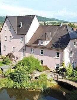 Historische Mühle im Herzen von Eggolsheim für die ganze Familie mit 860 qm WF und 4.404 qm Grund - Eggolsheim