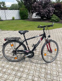 Herren Cross- & Trekkingrad - Kalkhoff - - Schkeuditz
