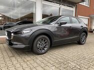 Mazda CX-30, Selection 122PS ACAA, Jahr 2020 - Waren (Müritz)