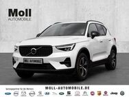 Volvo XC40 Plus Dark 2WD B3 EU6d digitales Cockpit Memory Sitze Soundsystem HarmanKardon LED - Aachen