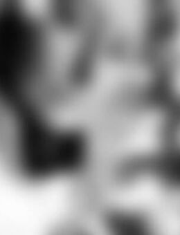 Sil*** - Horn-Bad Meinberg