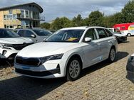 Skoda Octavia, Combi Selection, Jahr 2024 - Buchholz (Nordheide)