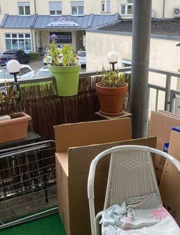 Charmante 2–3-Zimmer-Wohnung mit Loggia – ideal für Singles oder Paare - Friedrichshafen