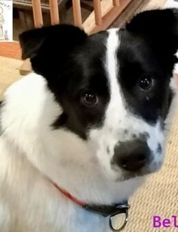 Bella treue Freundin fürs Leben - Kissing