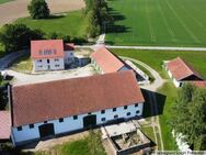 modern & naturnah: 4-Zimmerwohnung - Dachau