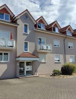 Frisch renovierte 2 Zimmer Wohnung in ruhiger Wohnanlage - Marpingen