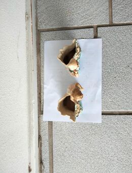 2 gebrauchte Deko Vasen aus Keramik - Dettenheim