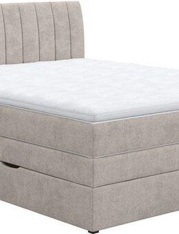 COTTA Boxspringbett Shark inkl. Bettkasten und Topper, erhältlich in den Breiten 140x200cm, 160x200cm und 180x200cm