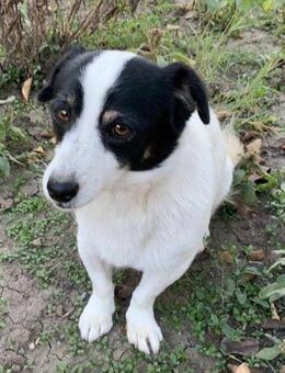 Flo sucht besondere Menschen - München