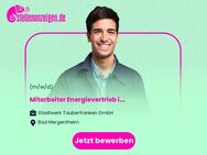 Mitarbeiter Energievertrieb (m/w/d) im Innen- und Außendienst - Bad Mergentheim