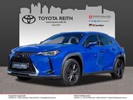 Lexus UX 250h, Launch Edition, Jahr 2019 - Ingolstadt