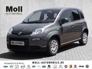 Fiat Panda Hybrid Tech Paket, Radio, Klima., Multifunktion - Aachen