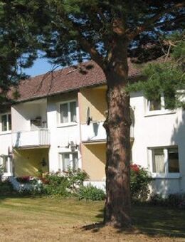 2-Zimmer-Wohnung mit Südbalkon - Eschershausen