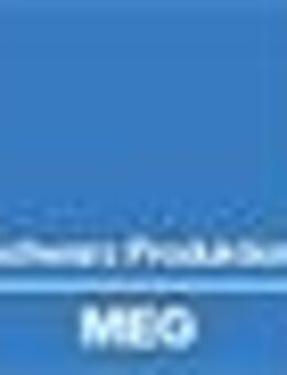 Instandhalter / Elektroniker / Mechatroniker / Elektriker (w/m/d) - Braunsbedra