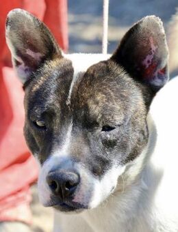 Mark, neugierig, offen, lernwillig - Westerholt