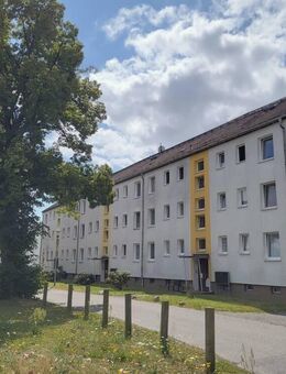 // Gemütliche 3 Zimmer-Wohnung // EBK inklusive // Bezug ab 08.2025 // - Machern