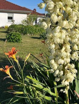 Gepflegtes Mehrgenerationenhaus +++ Modernes Wohnen, großzügige Platzverhältnisse und hohe Energieeffizienz - Groß Stieten