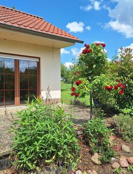 Hausverkauf direkt vom Eigentümer - Altersgerechter Bungalow in ruhiger Lage - Stendal (Hansestadt)