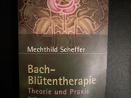 Bach-Blütentherapie. Ullstein Esoterik, Band 74122 von Mechthild Scheffer (2004) - Essen