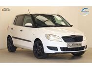 Skoda Fabia 1.2 69PS Cool Edition Servo Klima ZV - Teltow