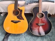 Gitarren-Mega-Paket inclusive Gitarrenkoffer für 650 € - Köln