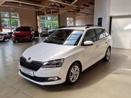 Skoda Fabia Kombi Ambition Plus DSG PDC SML SHZ 5J GAR - Ichenhausen